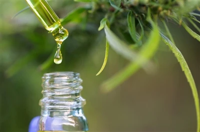 CBD vs. THC: Vše, co potřebujete vědět